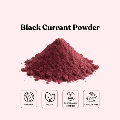 Black Currant Powder