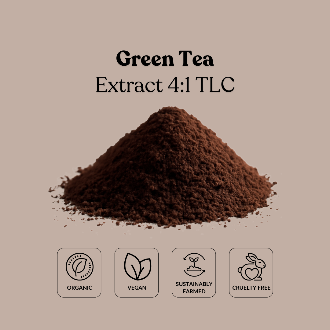 Green Tea Extract 4:1 TLC
