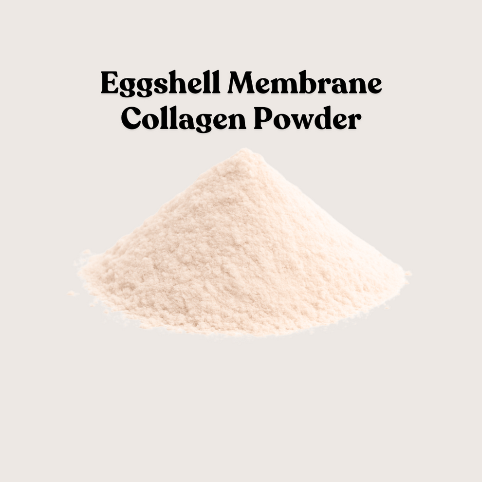 Shell Collagen Eggshell Membrane Collagen Powder – Total Ingredients