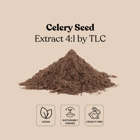 Black Garlic Extract 10:1 by TLC