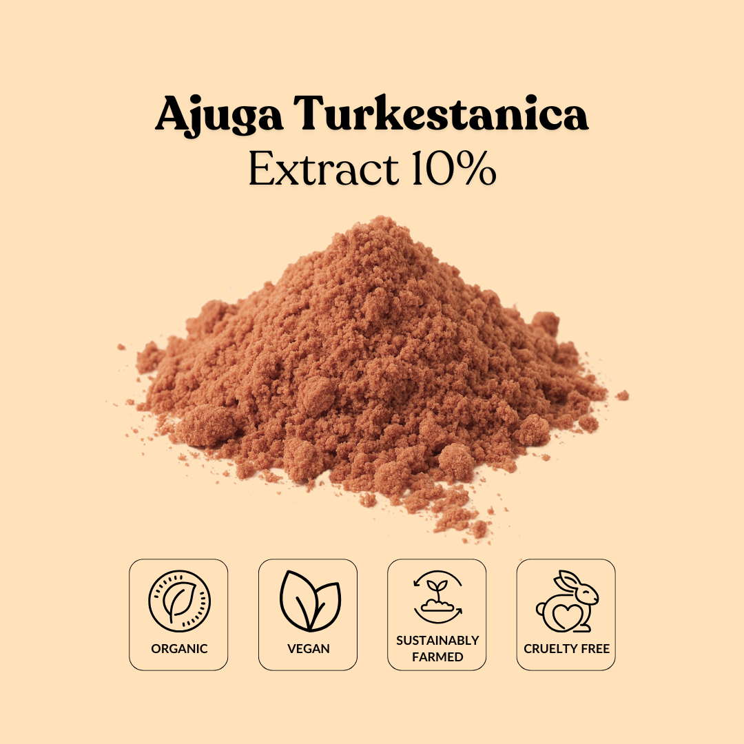 Ajuga Turkestanica Extract 10%