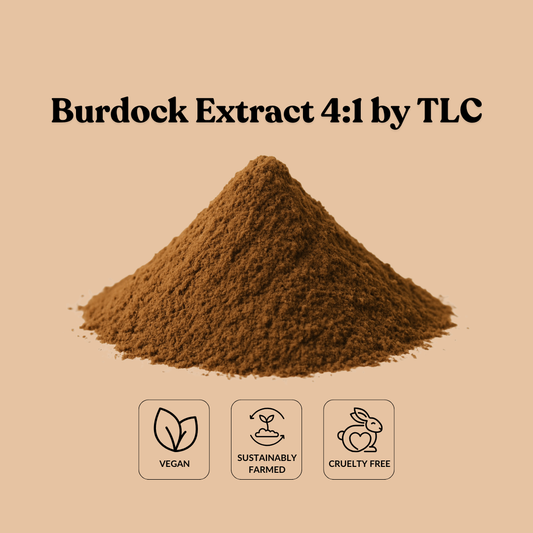 Burdock Extract 4:1 by TLC