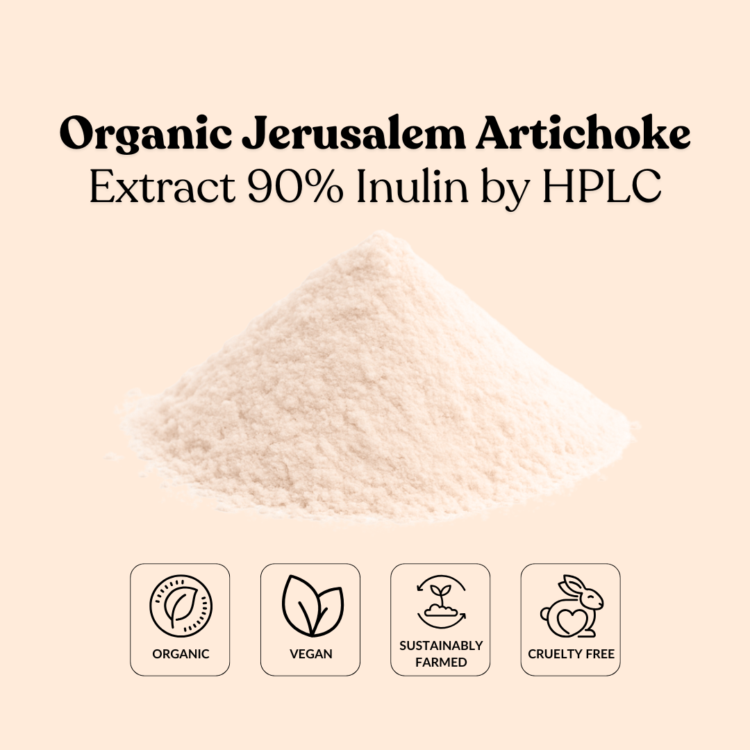 Organic Jerusalem Artichoke Extract 90% Inulin by HPLC