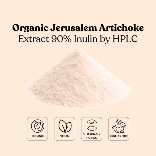 Organic Jerusalem Artichoke Extract 90% Inulin by HPLC