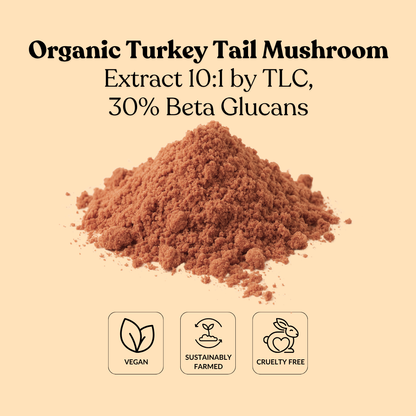 Organic Turkey Tail Mushroom Extract 10:1 by TLC, 30% Beta Glucans