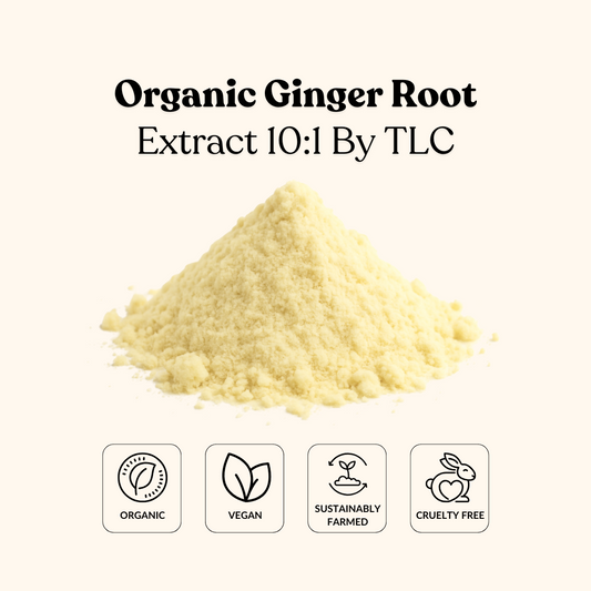 Organic Ginger Root Extract 10:1 By TLC