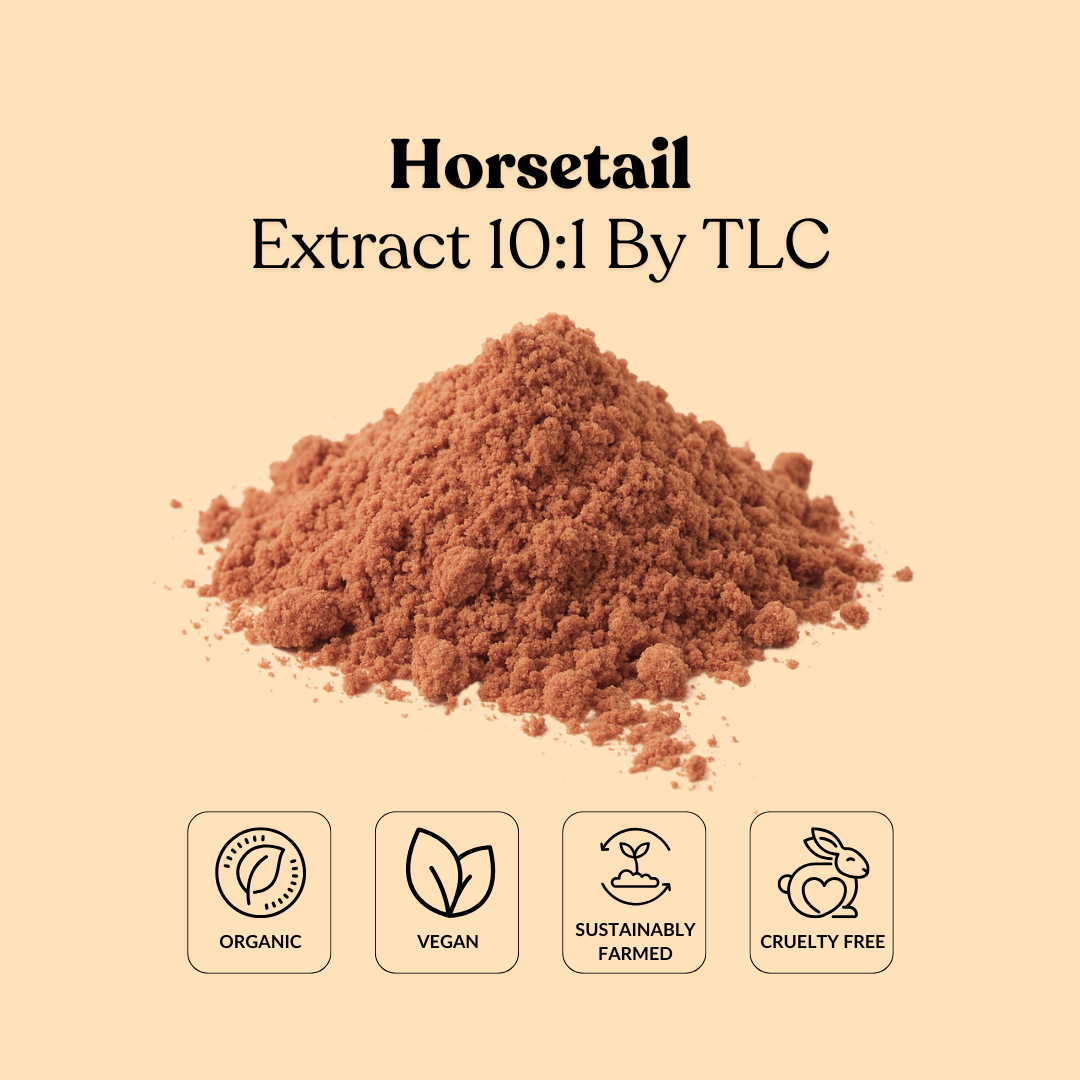 Horsetail Extract 10:1 By TLC
