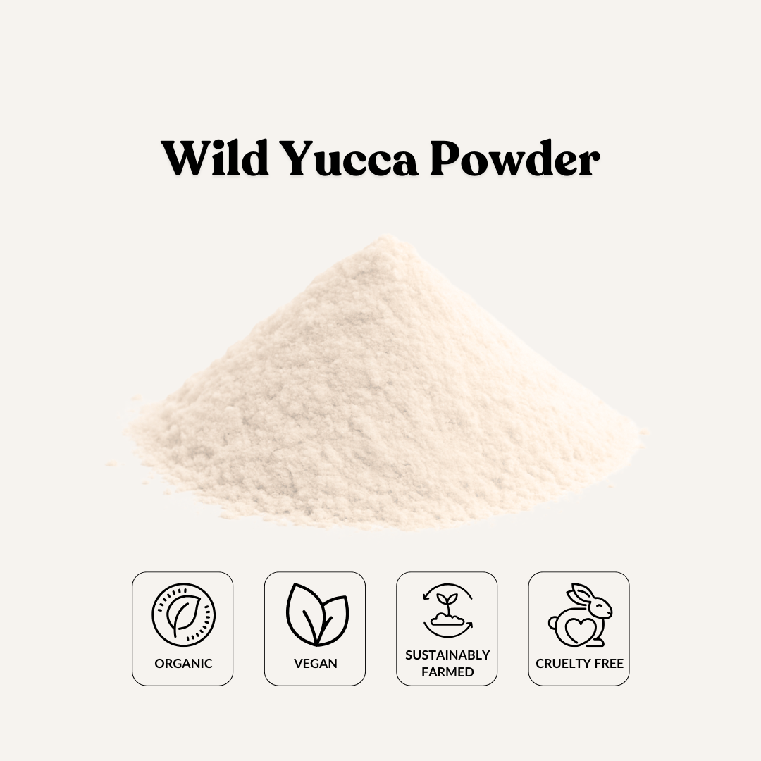 Wild Yucca Powde