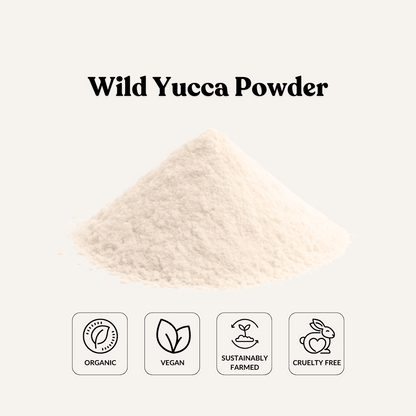 Wild Yucca Powde