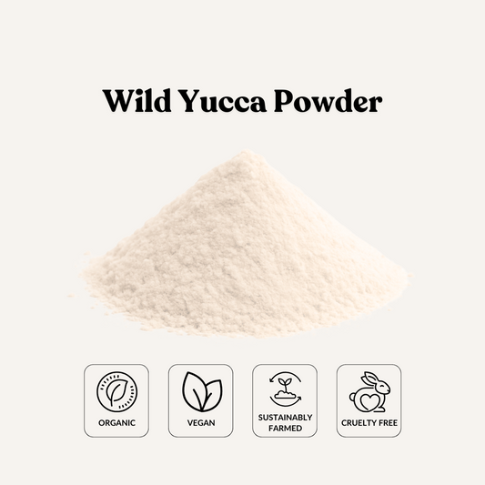 Wild Yucca Powde