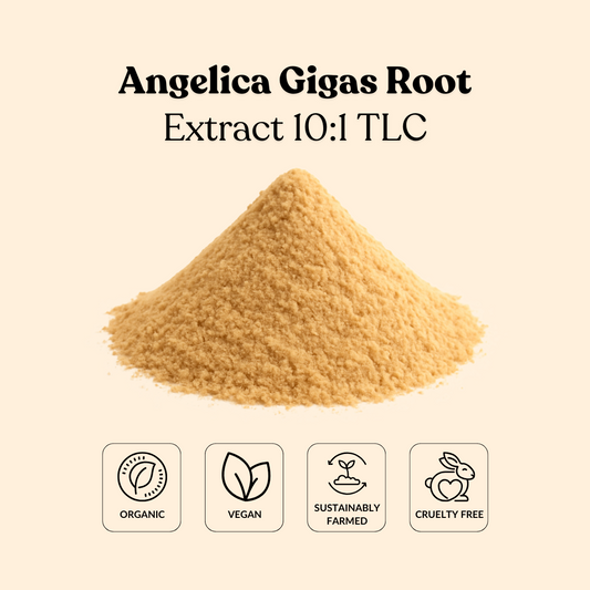 Angelica Gigas Root Extract 10:1 TLC