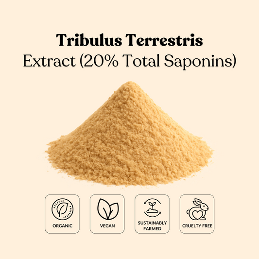 Tribulus Terrestris Extract (20% Total Saponins)
