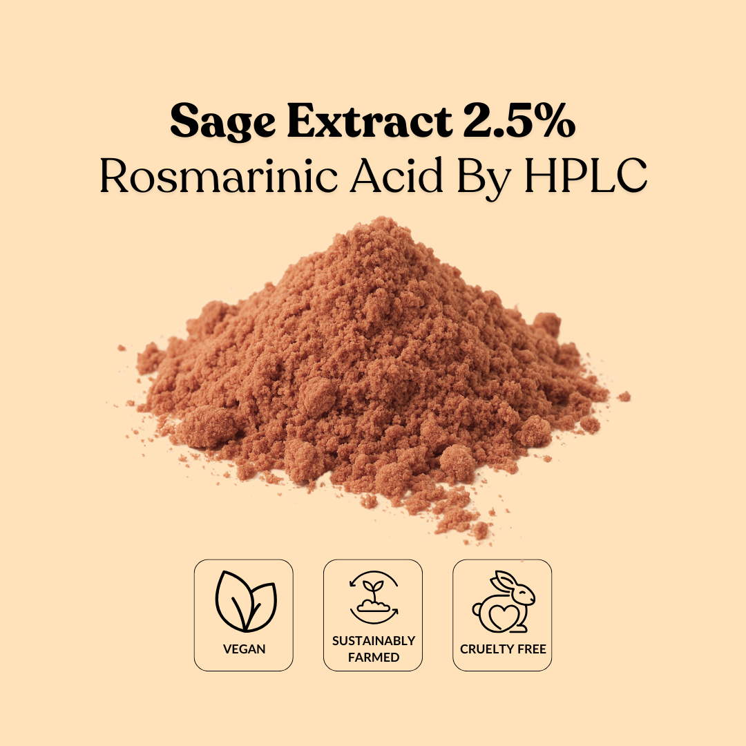 Sage Extract 2.5% Rosmarinic Acid By HPLC