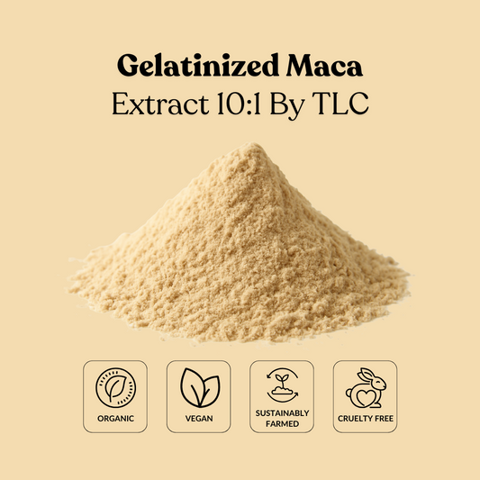 Gelatinized Maca Extract 10:1 By TLC