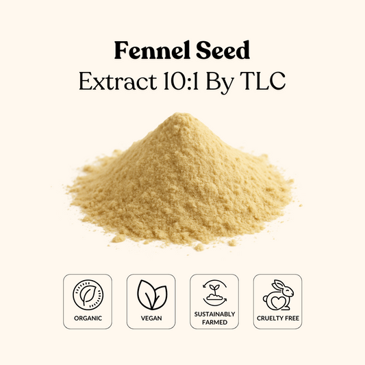 Fennel Seed Extract 10:1 By TLC