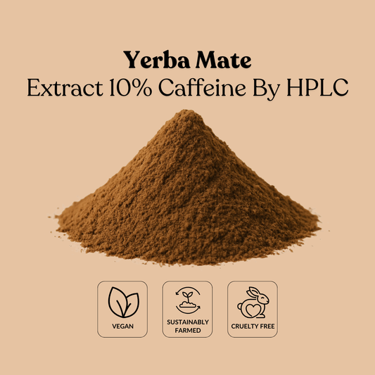 Yerba Mate Extract 10% Caffeine By HPLC