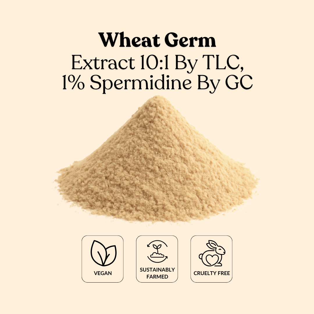 Wheat Germ Extract 10:1 By TLC,1% Spermidine By GC