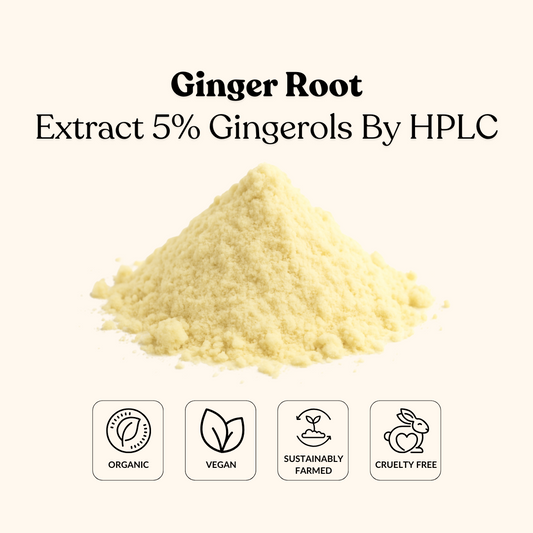 Ginger Root Extract 5% Gingerols By HPLC