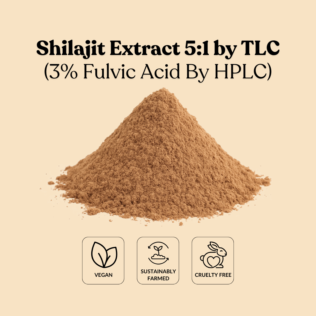 Shilajit Extract 5:1 by TLC (3% Fulvic Acid By HPLC)