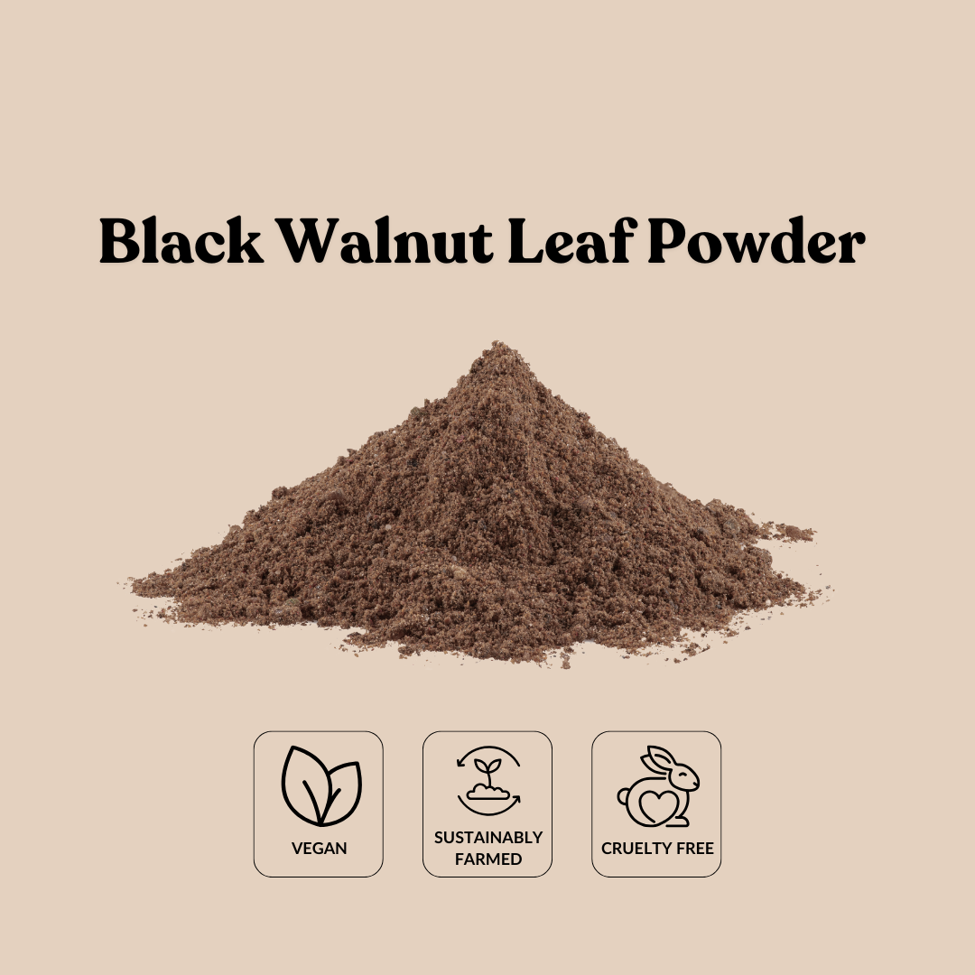 Black Walnut Leaf Powder