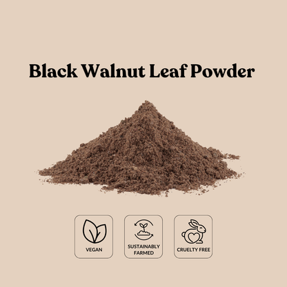 Black Walnut Leaf Powder