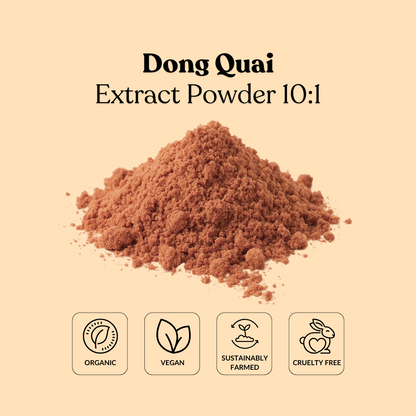 Dong Quai Extract powder 10:1