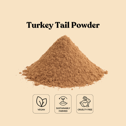 Turkey Tail Powder