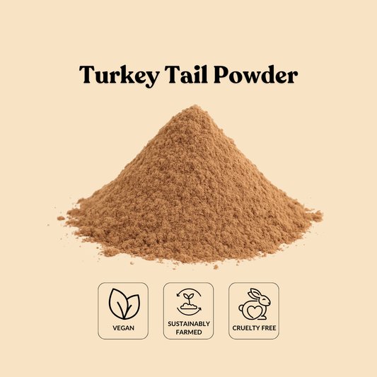 Turkey Tail Powder