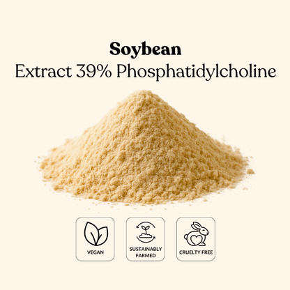 Soybean Extract 39% Phosphatidylcholine