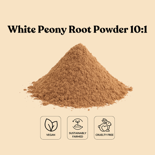 White Peony Root Powder 10:1