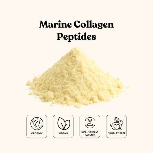 Marine Collagen Peptides