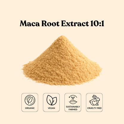 Maca Root Extract 10:1