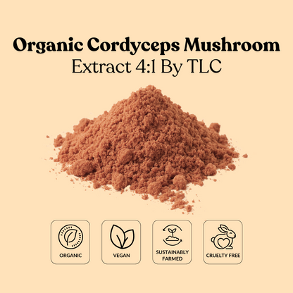 Organic Cordyceps Mushroom Extract 4:1 By TLC