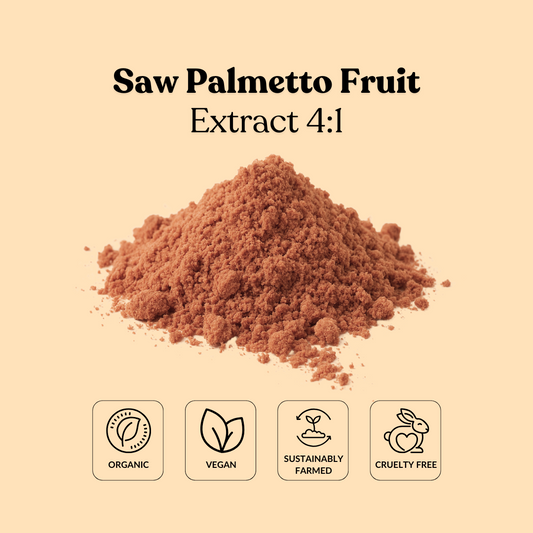 Saw Palmetto Fruit Extract 4:1