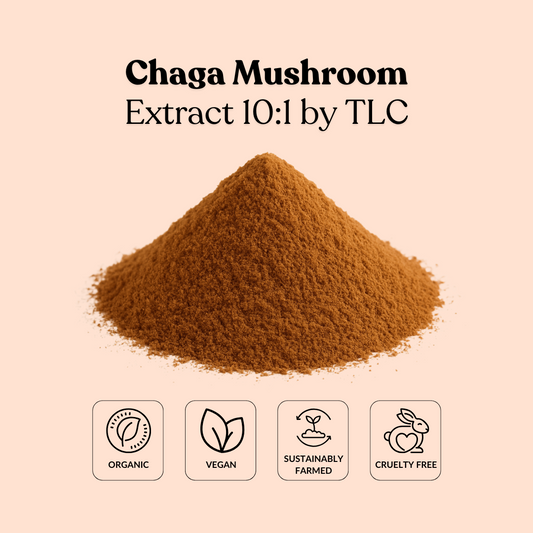 Chaga Mushroom Extract 10:1 by TLC
