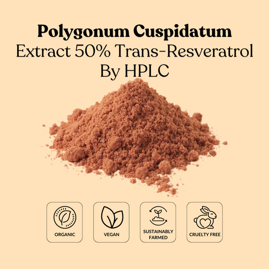 Polygonum Cuspidatum Extract 50% Trans-Resveratrol By HPLC