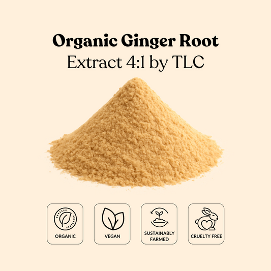 Organic Ginger Root Extract 4:1 by TLC