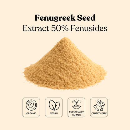 Fenugreek Seed Extract 50% Fenusides