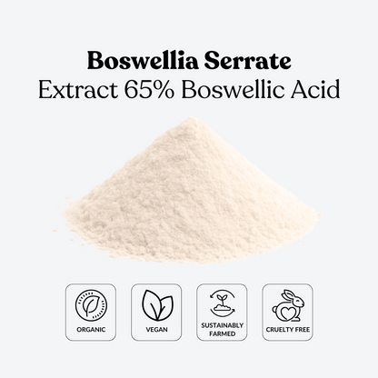 Boswellia Serrate Extract 65% Boswellic Acid