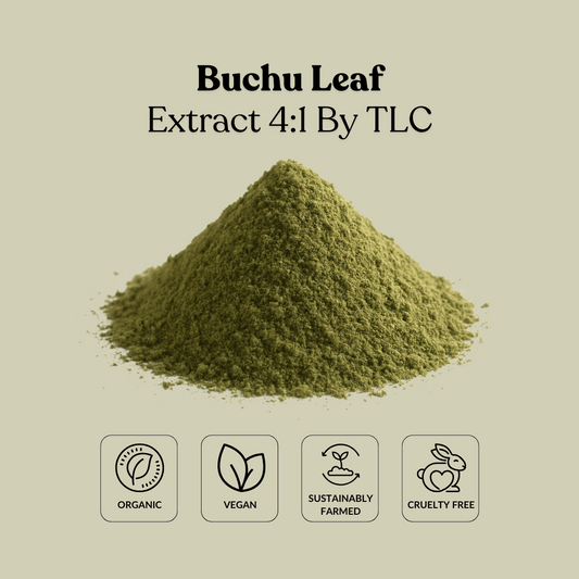 Buchu Leaf Extract 4:1 By TLC