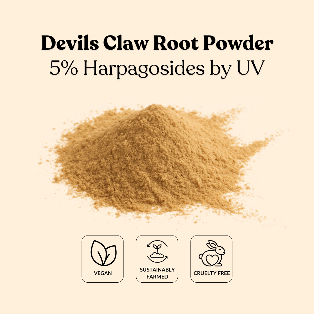 Devils Claw Root Powder 5% Harpagosides by UV