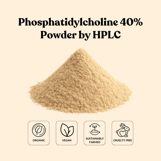 Phosphatidylcholine 40% Powder by HPLC
