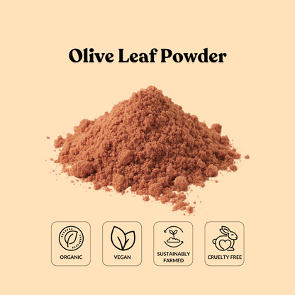 Olive Leaf Powder