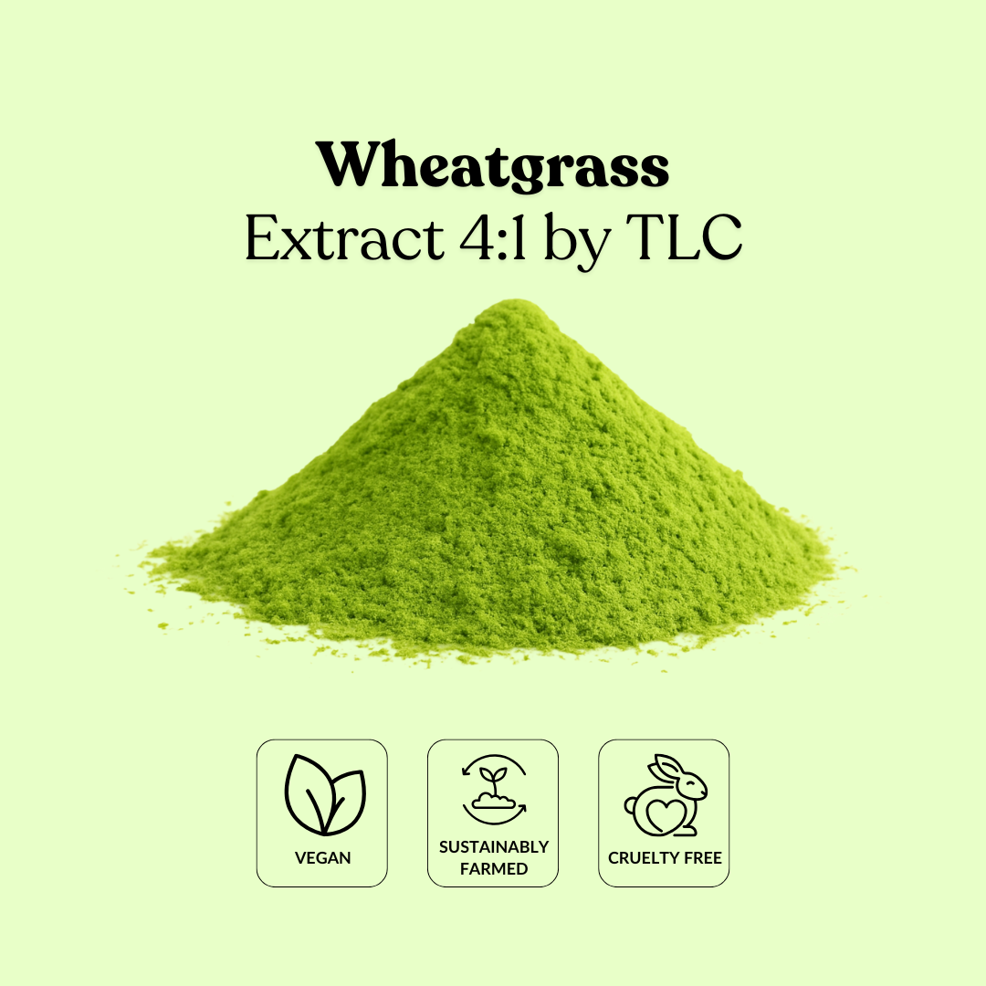 Wheatgrass Extract 4:1 by TLC