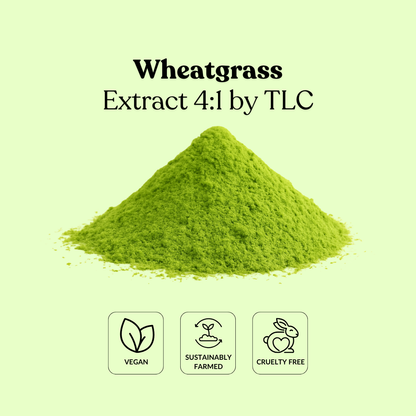 Wheatgrass Extract 4:1 by TLC
