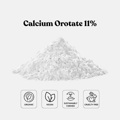 Calcium Orotate 11%