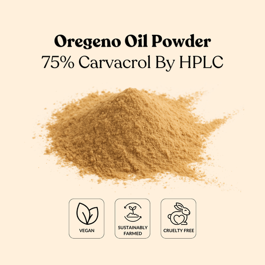 Oregeno Oil Powder 75% Carvacrol By HPLC