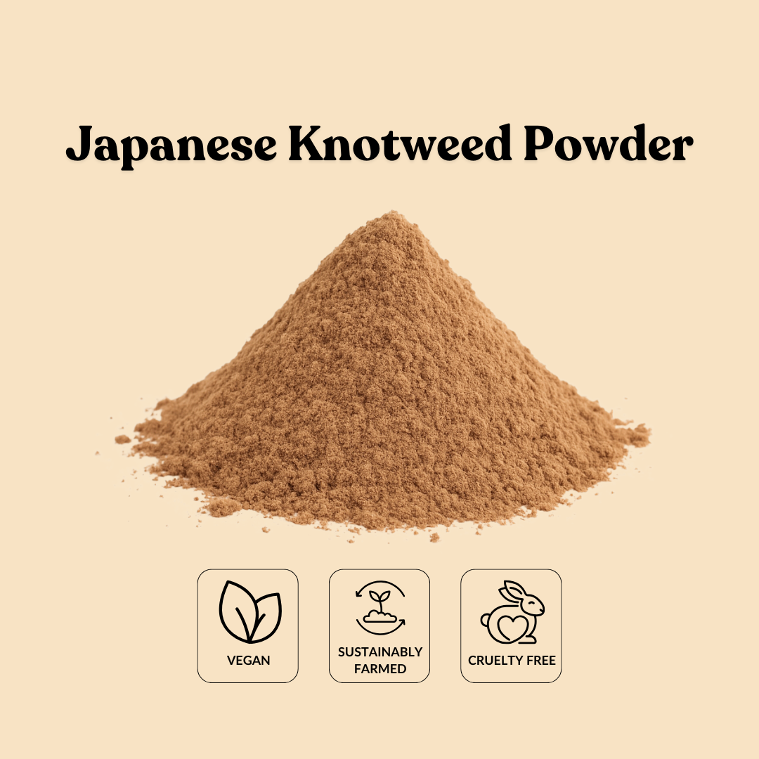 Japanese Knotweed Powder – Total Ingredients
