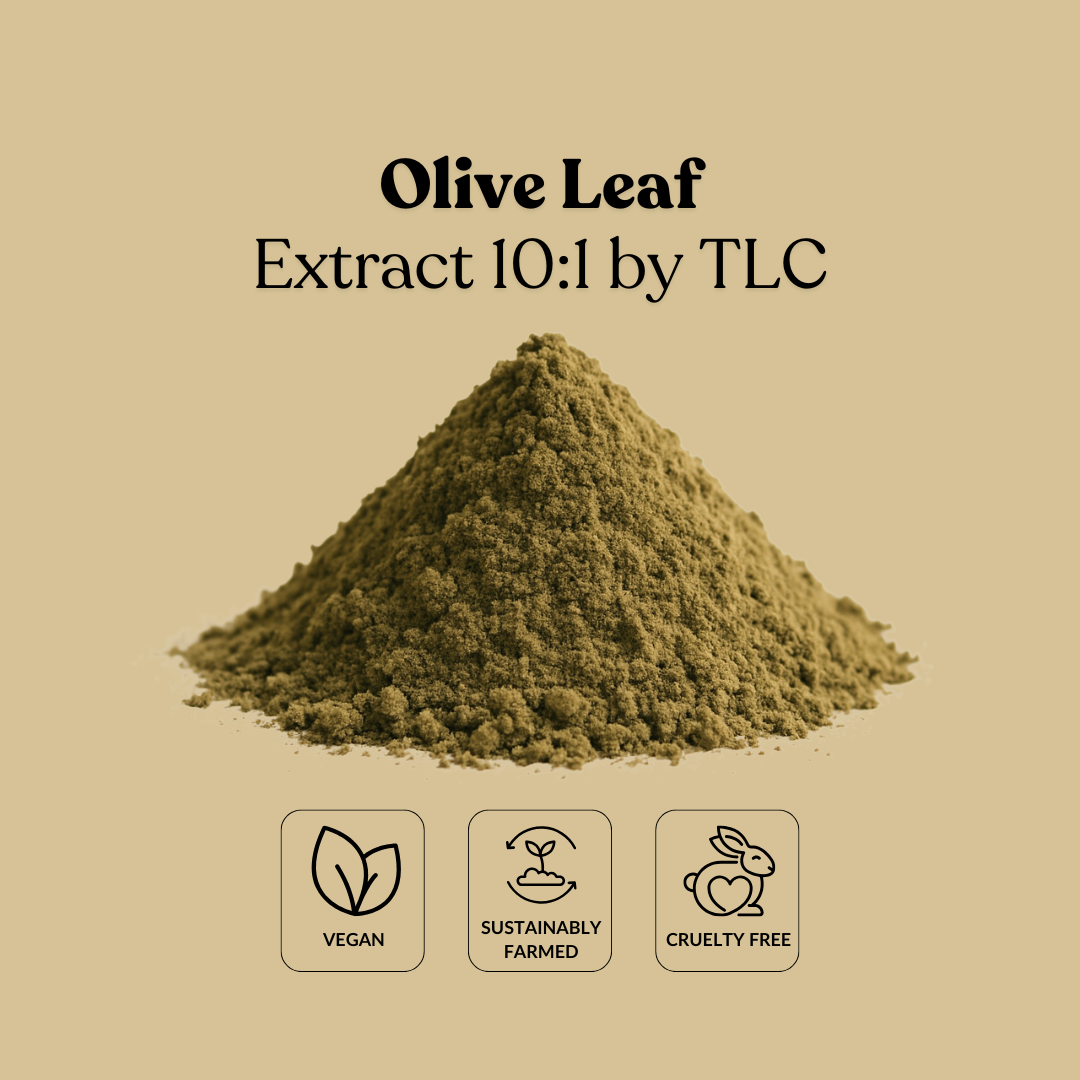 Olive Leaf Extract 10:1 by TLC