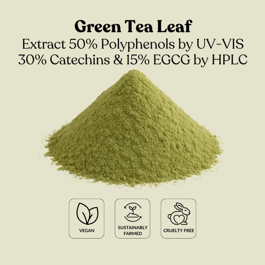 Green Tea Leaf Extract 50% Polyphenols by UV-VIS 30% Catechins & 15% EGCG by HPLC